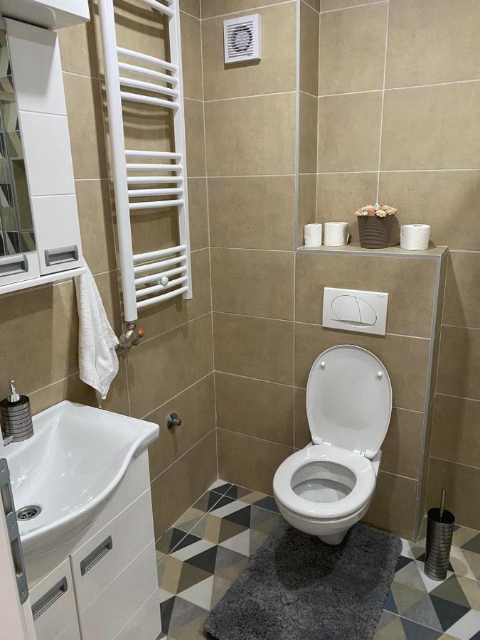 Apartmani Milic Banja Koviljaca Exterior photo